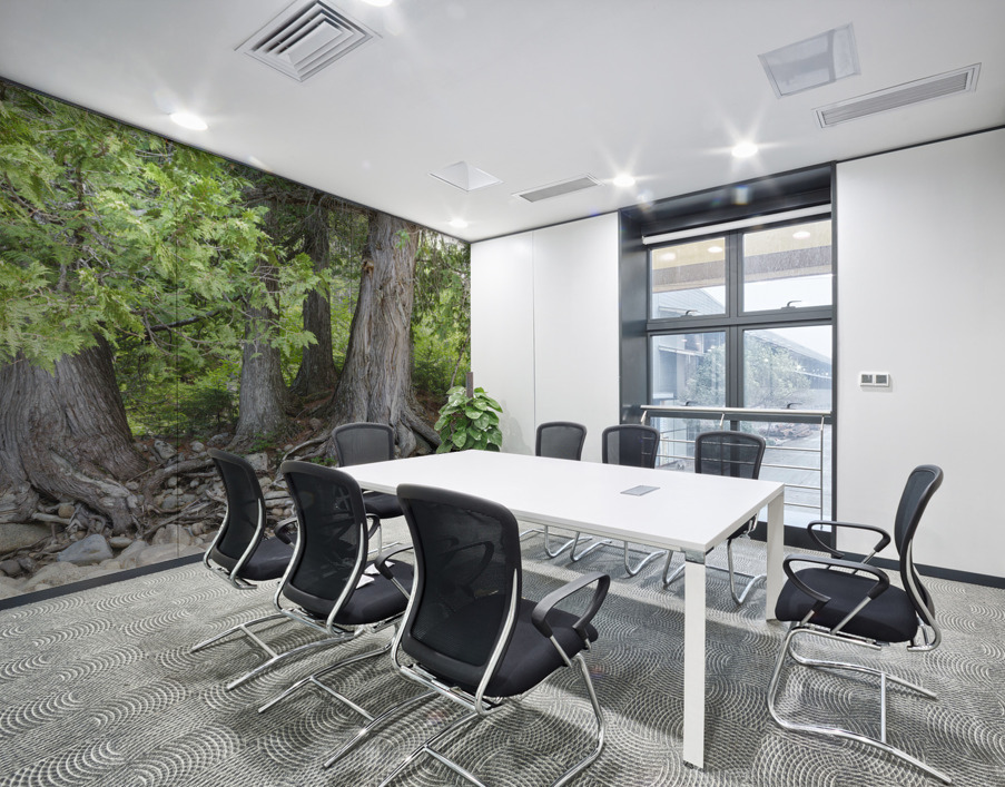 White Cedar Trees - Pemigewasset Wilderness New Hampshire Wall Printing