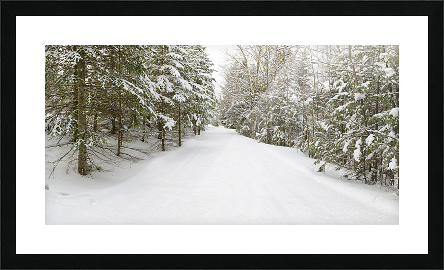 Franconia Bike Path - Franconia Notch New Hampshire Picture Frame print