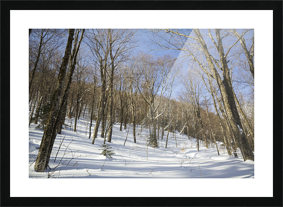 Kinsman Notch - North Woodstock New Hampshire Picture Frame print