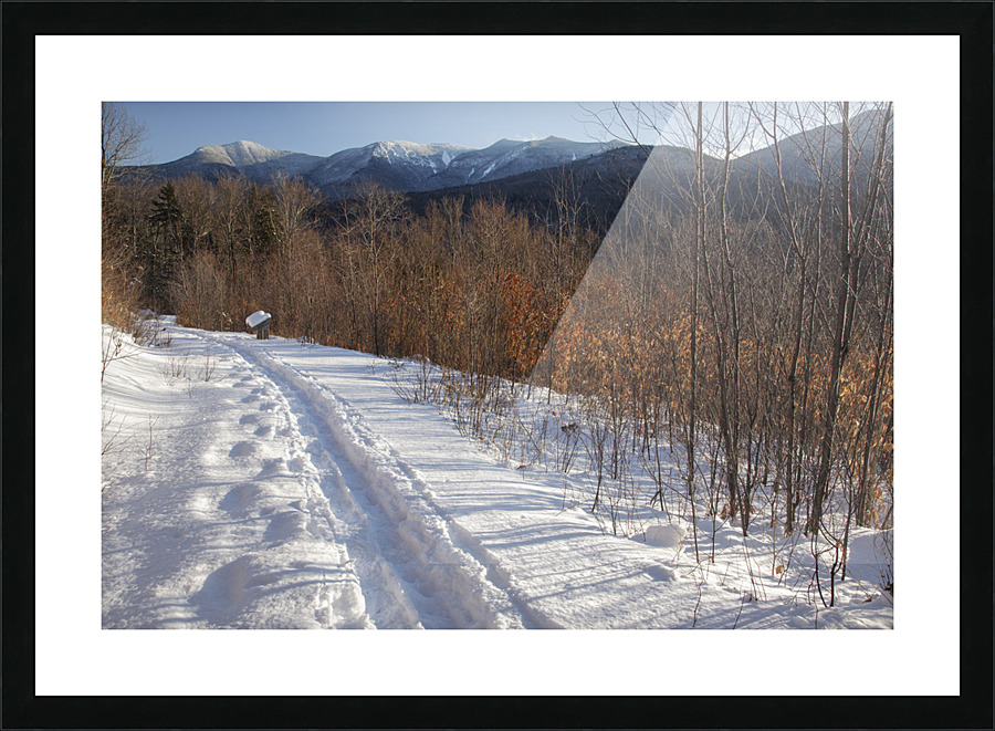 Forest Discovery Trail - White Mountains New Hampshire Picture Frame print