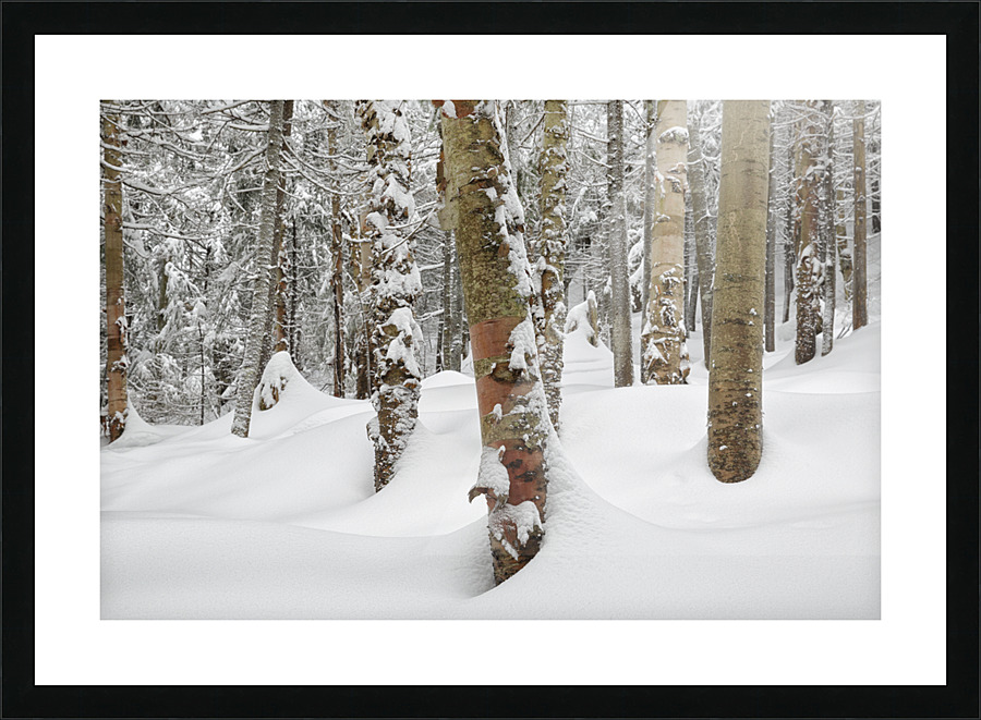 Mount Jim - Kinsman Notch New Hampshire Picture Frame print