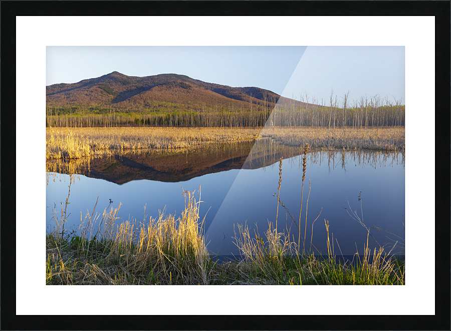 Pondicherry Wildlife Refuge - Jefferson New Hampshire Picture Frame print