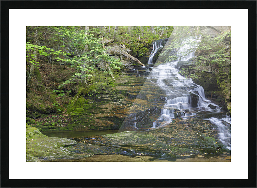 Tama Fall - Randolph New Hampshire  Picture Frame print