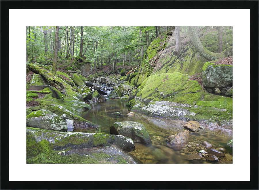 Walker Brook - Woodstock New Hampshire Picture Frame print