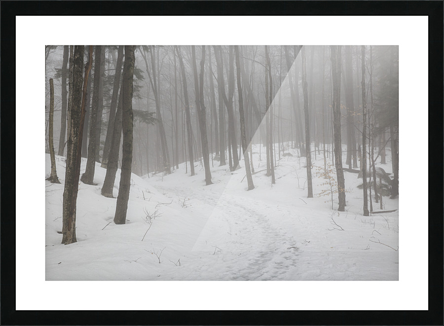 Flume Gorge - Lincoln New Hampshire Picture Frame print