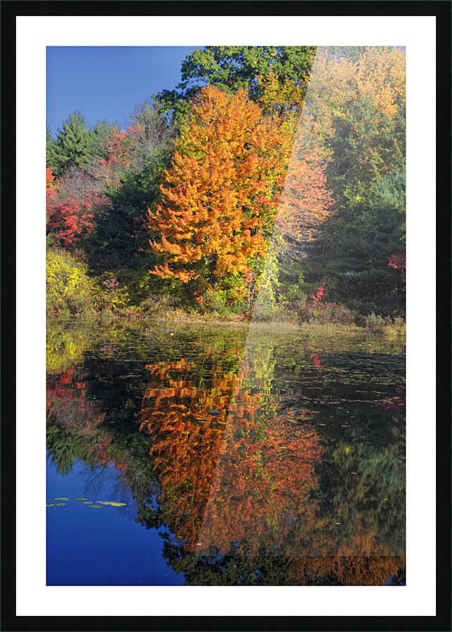 Clark Pond - Auburn New Hampshire Picture Frame print