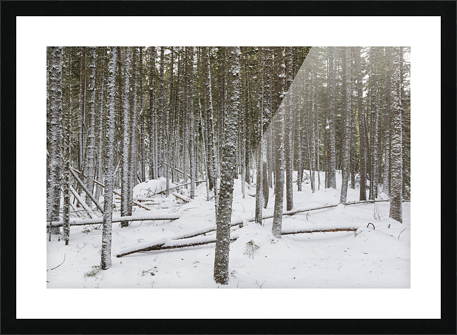 Crawfords Purchase New Hampshire Picture Frame print