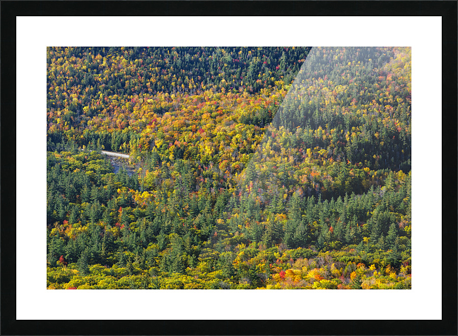 Boulder Loop Trail - White Mountains New Hampshire Picture Frame print