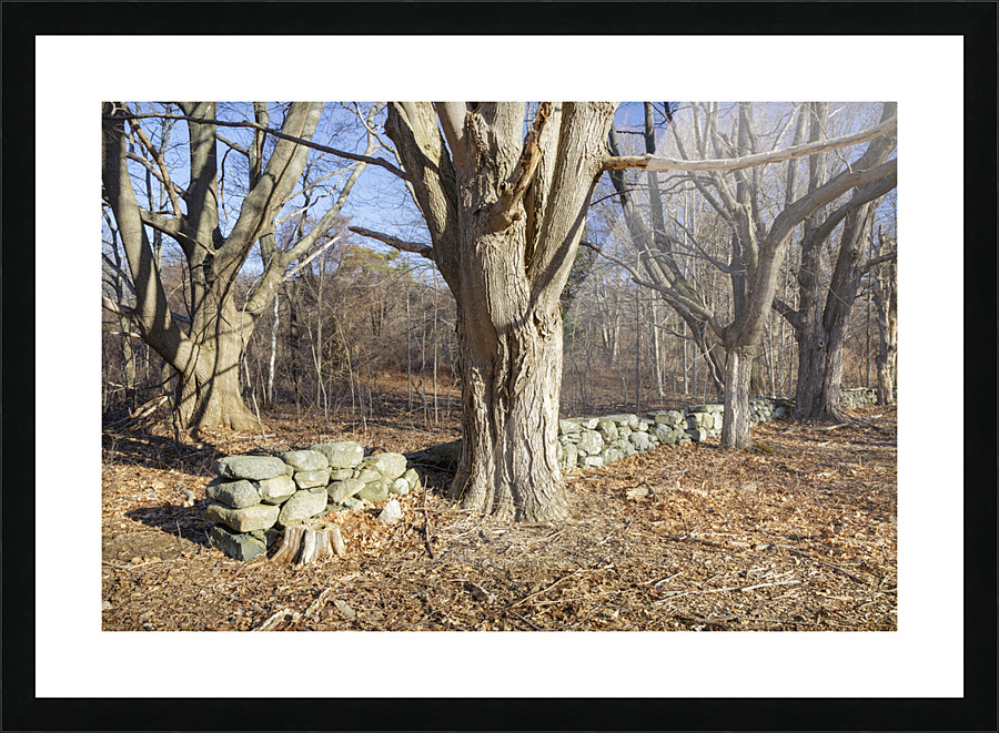 Odiorne Point State Park - Rye New Hampshire Picture Frame print