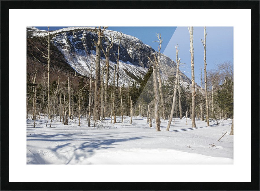 Pemi Trail - Franconia Notch White Mountains Picture Frame print