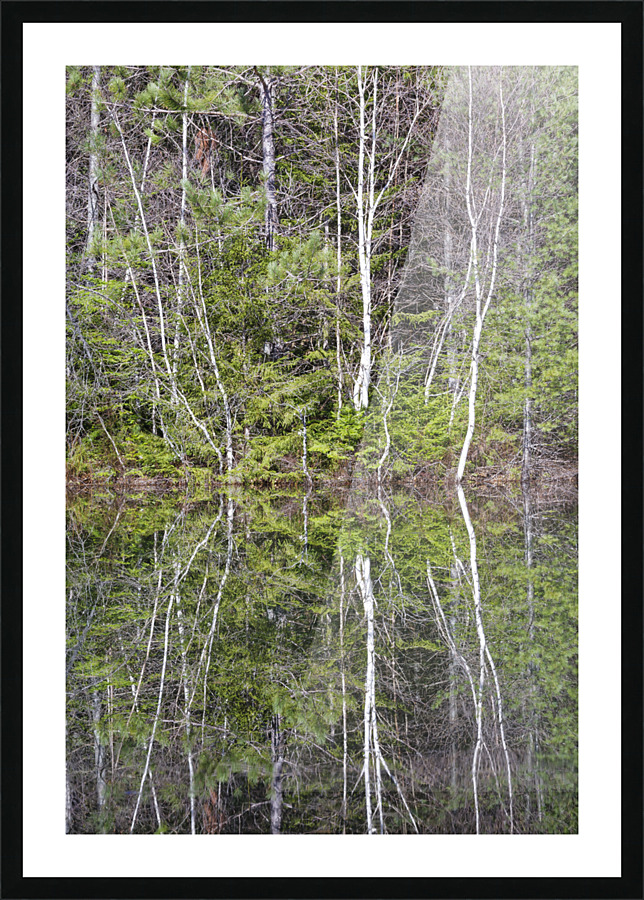 Kancamagus Highway - White Mountains New Hampshire Picture Frame print
