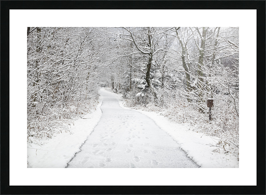 Franconia Bike Path - Franconia Notch New Hampshire Picture Frame print