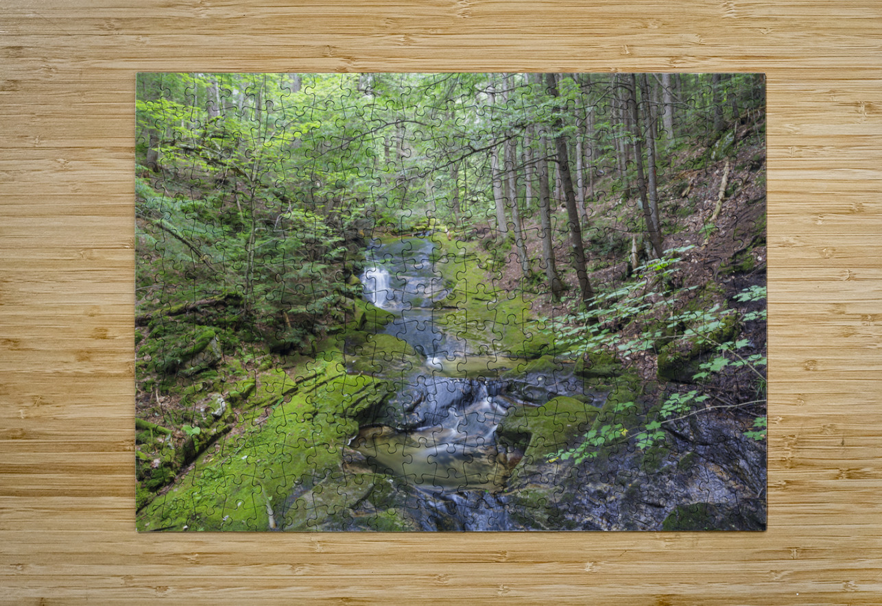 Mossy Glen - Randolph New Hampshire ScenicNH Photography Puzzle printing