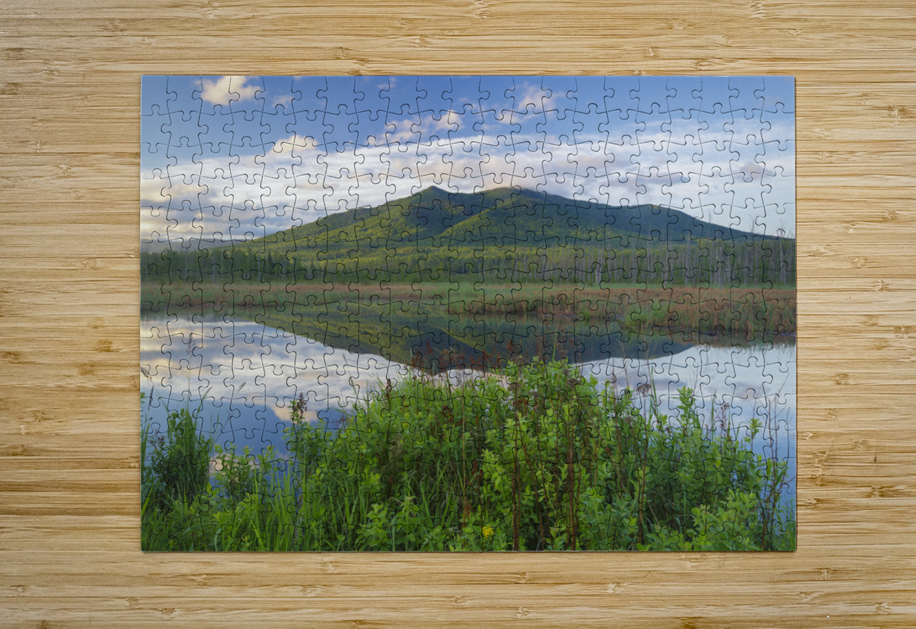 Cherry Mountain - Moorhen Marsh Pondicherry Wildlife Refuge ScenicNH Photography Puzzle printing