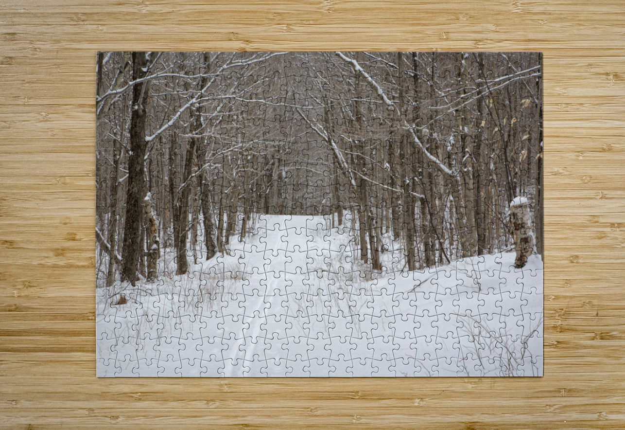 Lafayette Ski Trails - Franconia New Hampshire ScenicNH Photography Puzzle printing