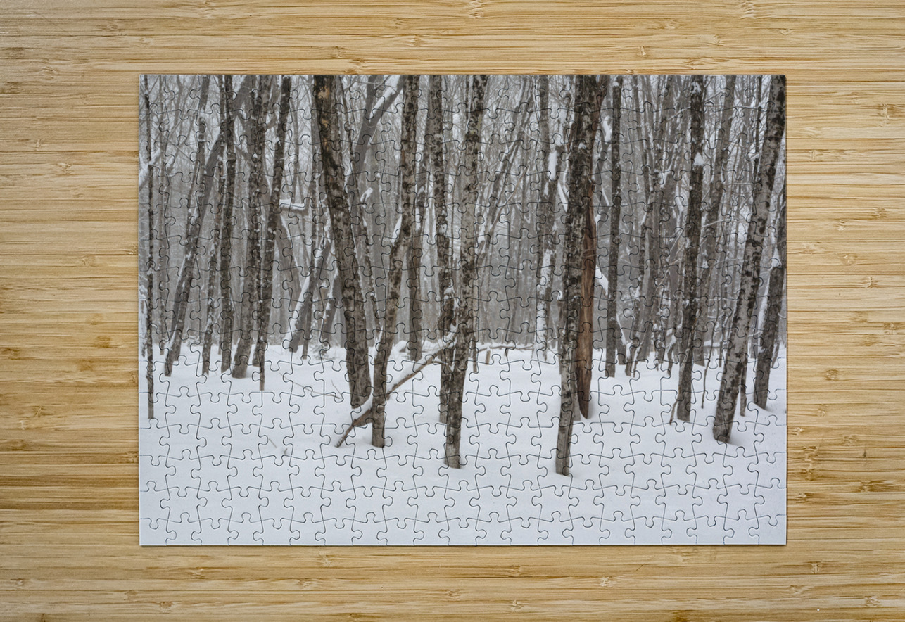 White Mountains New Hampshire - Hardwood forest ScenicNH Photography Puzzle printing