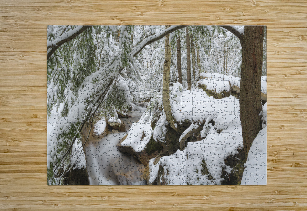 Pemigewasset River - Franconia Notch State Park New Hampshire ScenicNH Photography Puzzle printing
