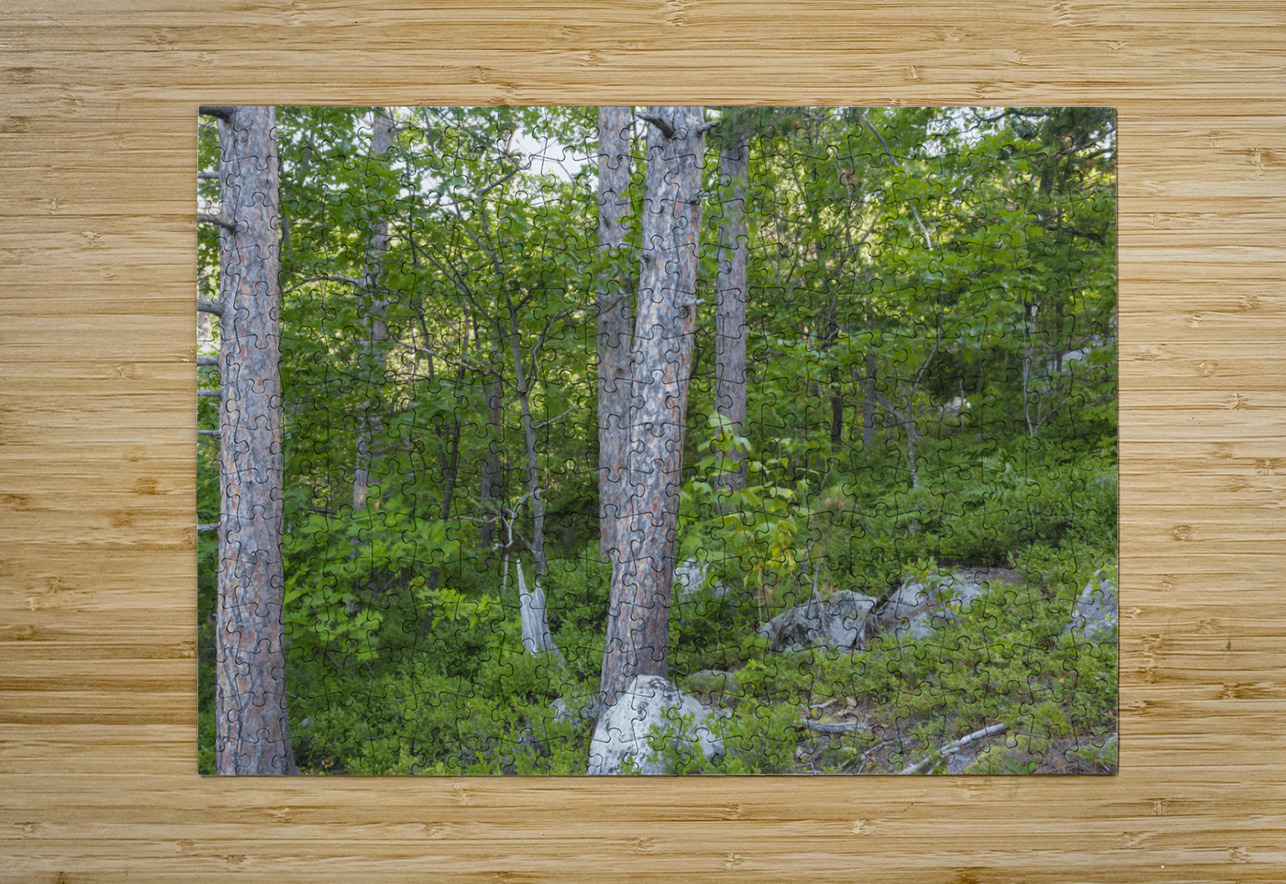 South Moat Mountain - Albany New Hampshire ScenicNH Photography Puzzle printing