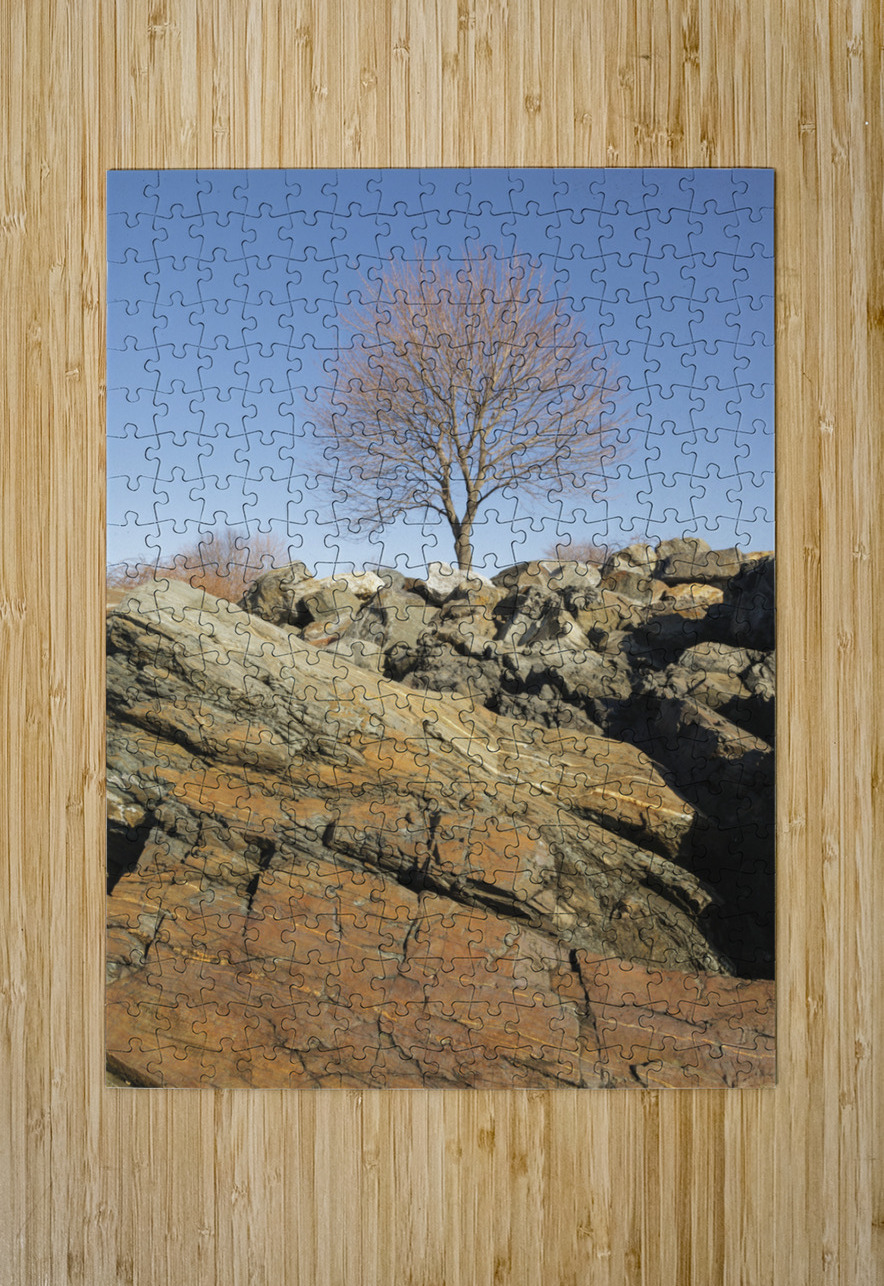 Great Island Common - New Castle New Hampshire ScenicNH Photography Puzzle printing