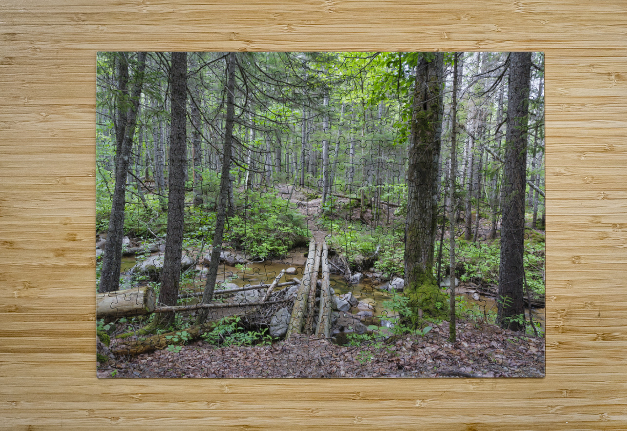 Nancy Pond Trail - Pemigewasset Wilderness New Hampshire  ScenicNH Photography Puzzle printing