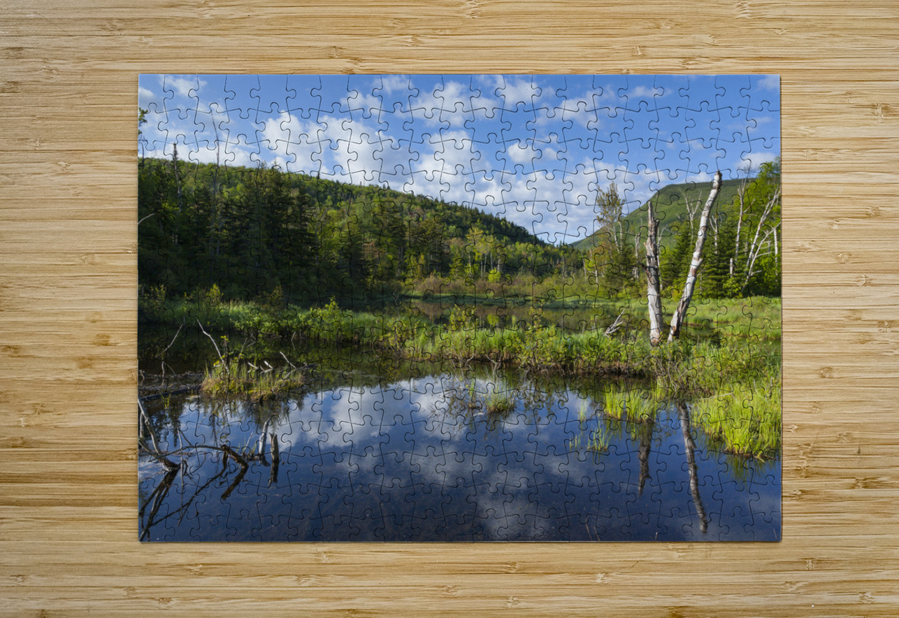 Zealand Pond - White Mountains New Hampshire ScenicNH Photography Puzzle printing