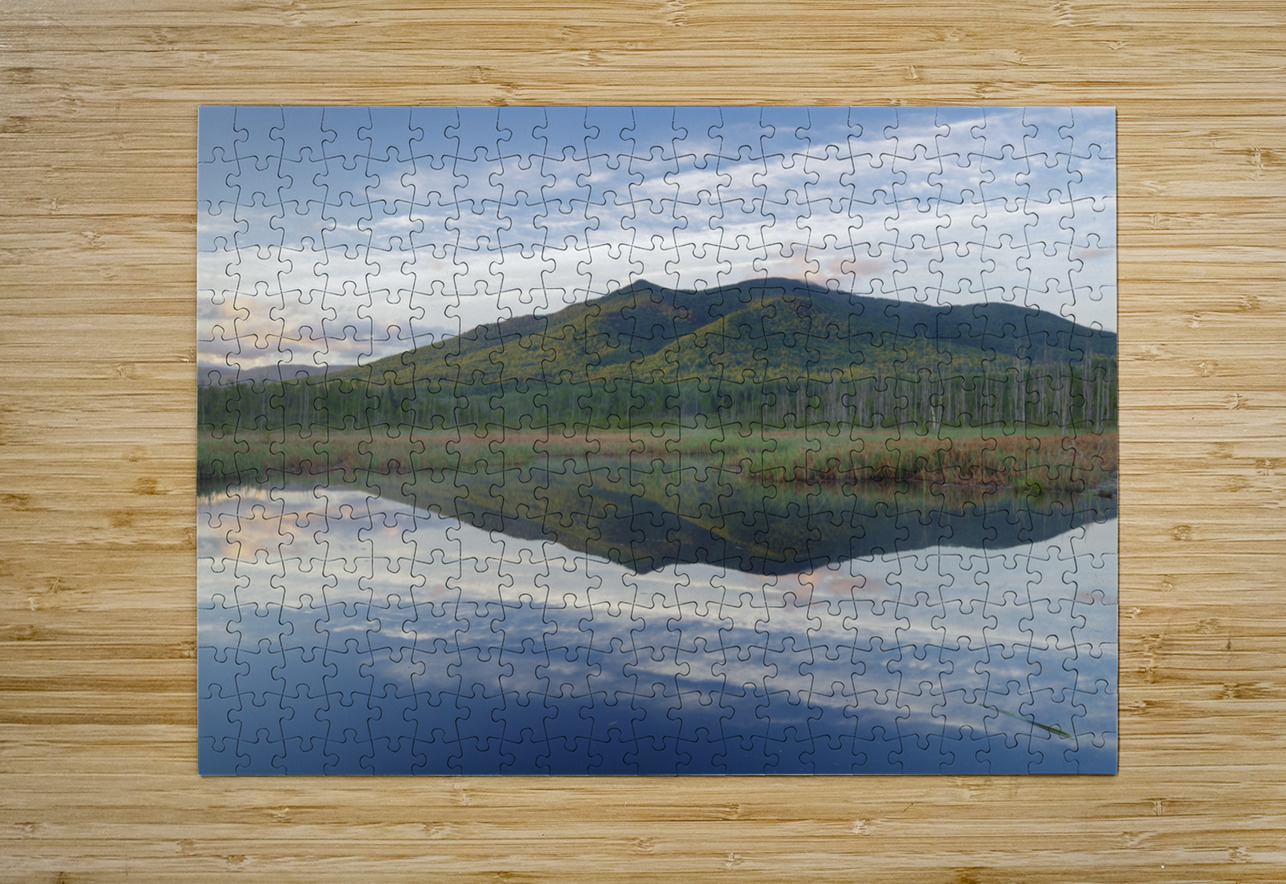 Cherry Mountain - Moorhen Marsh Pondicherry Wildlife Refuge ScenicNH Photography Puzzle printing