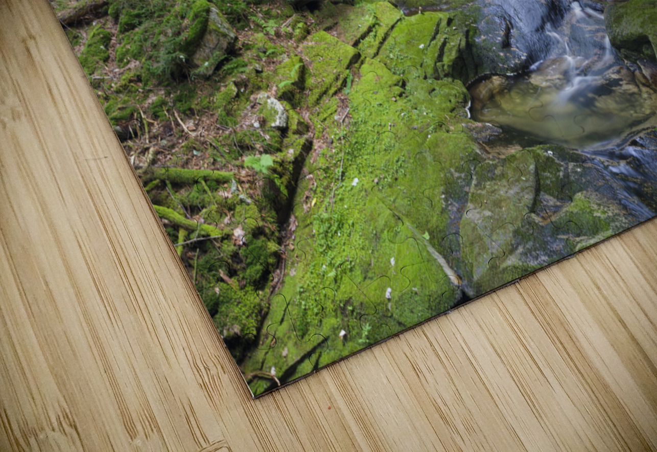 Mossy Glen - Randolph New Hampshire ScenicNH Photography Puzzle