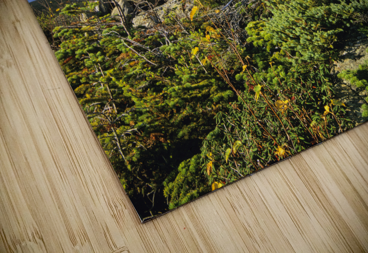 Boott Spur Trail - Mount Washington New Hampshire  ScenicNH Photography Puzzle