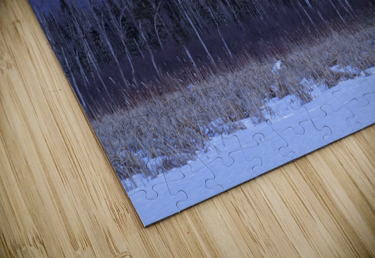 Pondicherry Wildlife Refuge - Jefferson New Hampshire ScenicNH Photography Puzzle