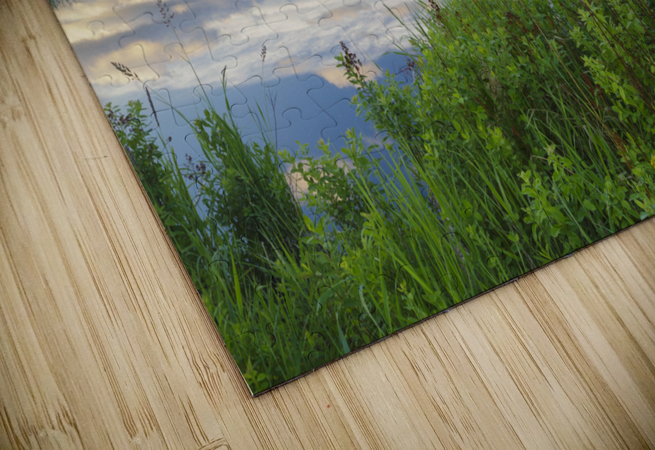 Cherry Mountain - Moorhen Marsh Pondicherry Wildlife Refuge ScenicNH Photography Puzzle