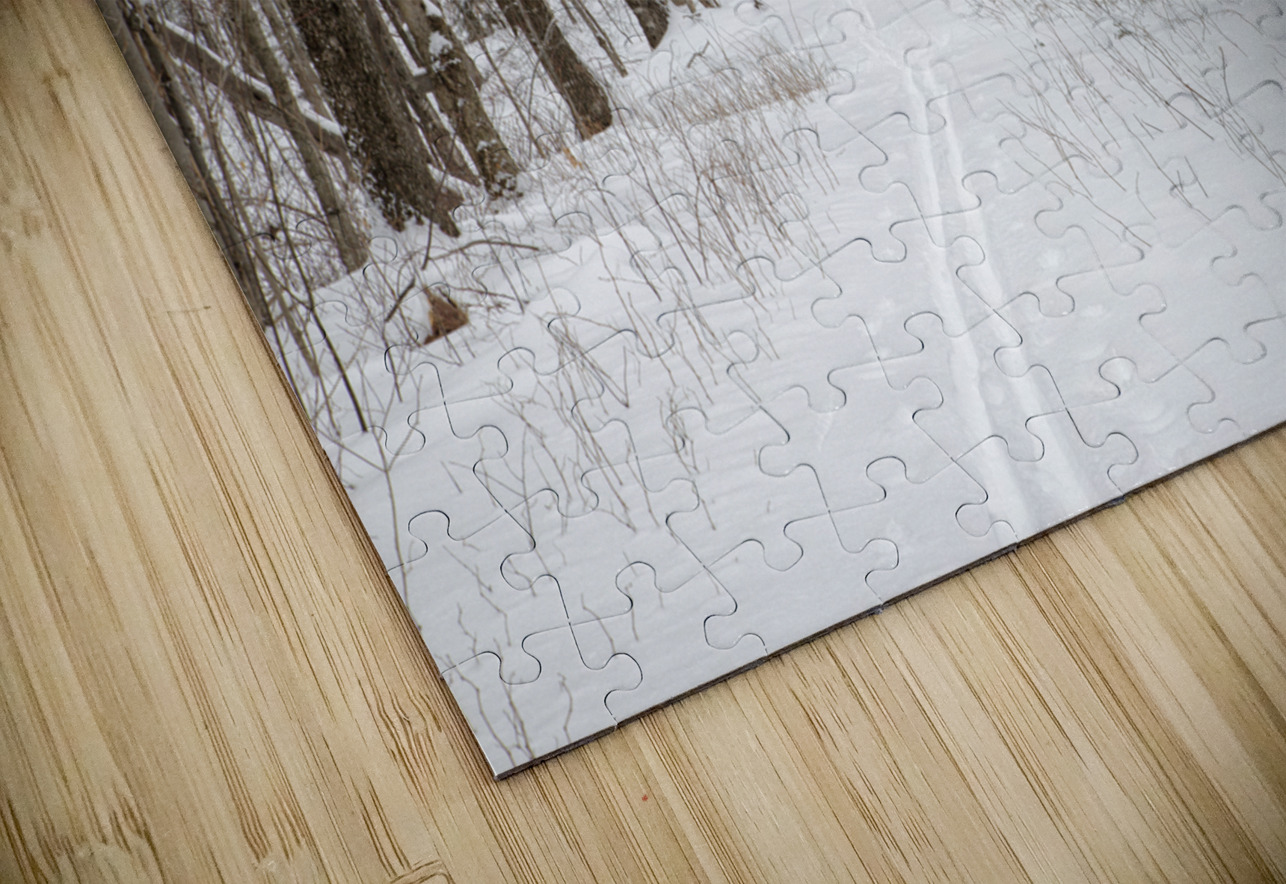 Lafayette Ski Trails - Franconia New Hampshire ScenicNH Photography Puzzle