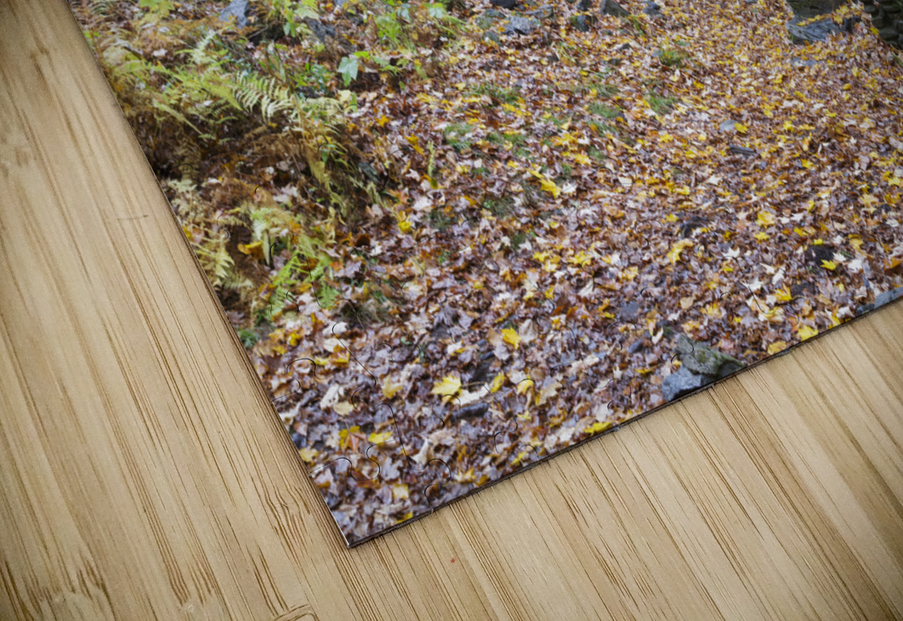 Madame Sherri Forest - Chesterfield New Hampshire ScenicNH Photography Puzzle