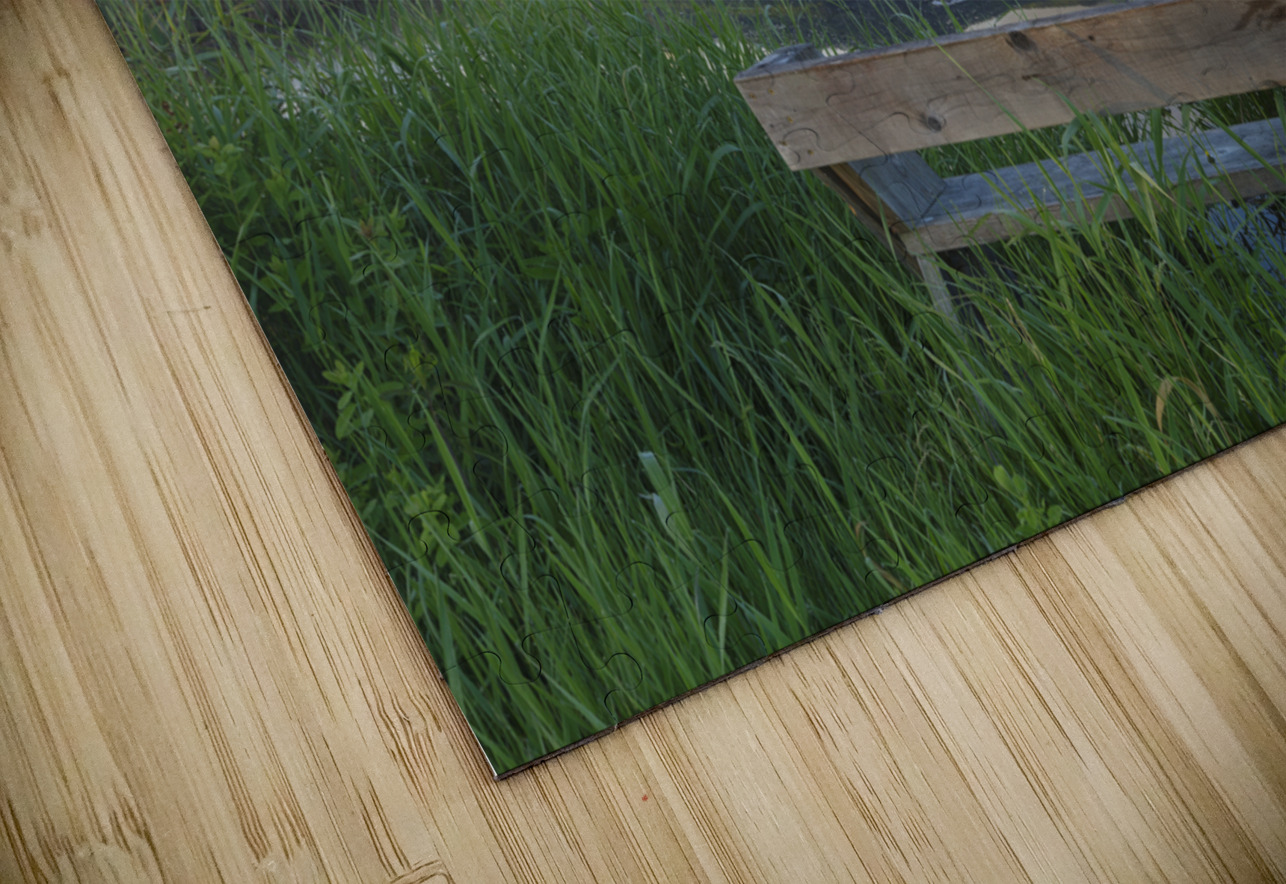 Cherry Mountain - Moorhen Marsh Pondicherry Wildlife Refuge ScenicNH Photography Puzzle