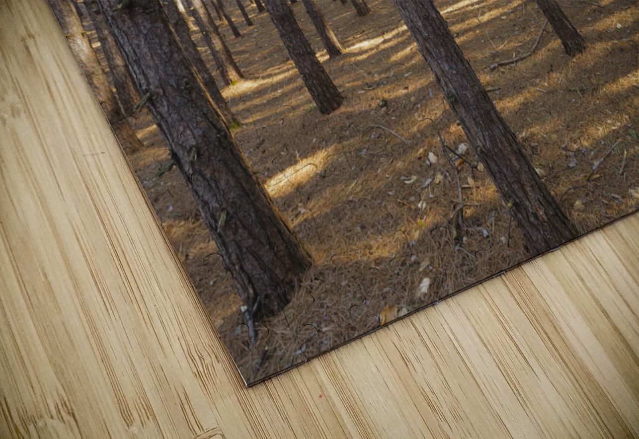 Red Pine Forest - Franconia New Hampshire ScenicNH Photography Puzzle