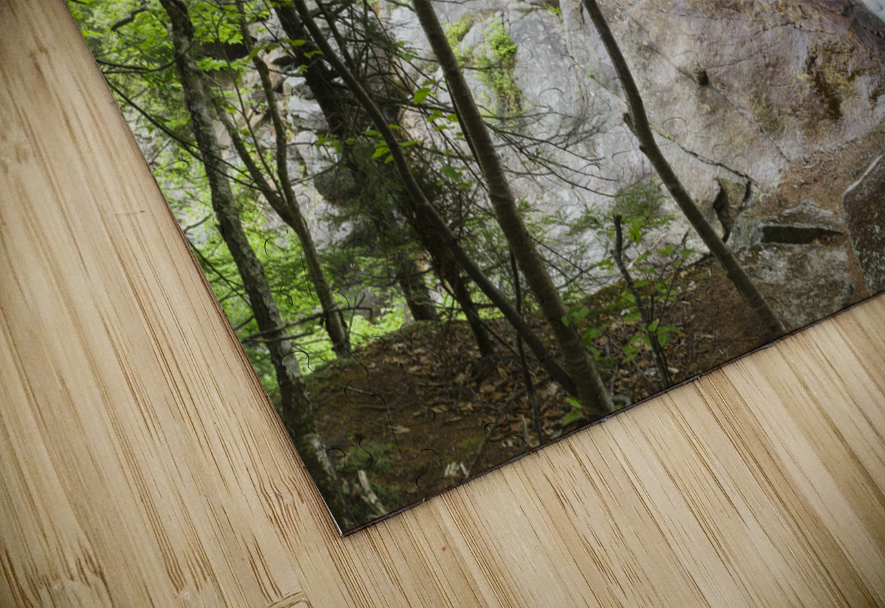 Harvard Brook - Lincoln New Hampshire ScenicNH Photography Puzzle