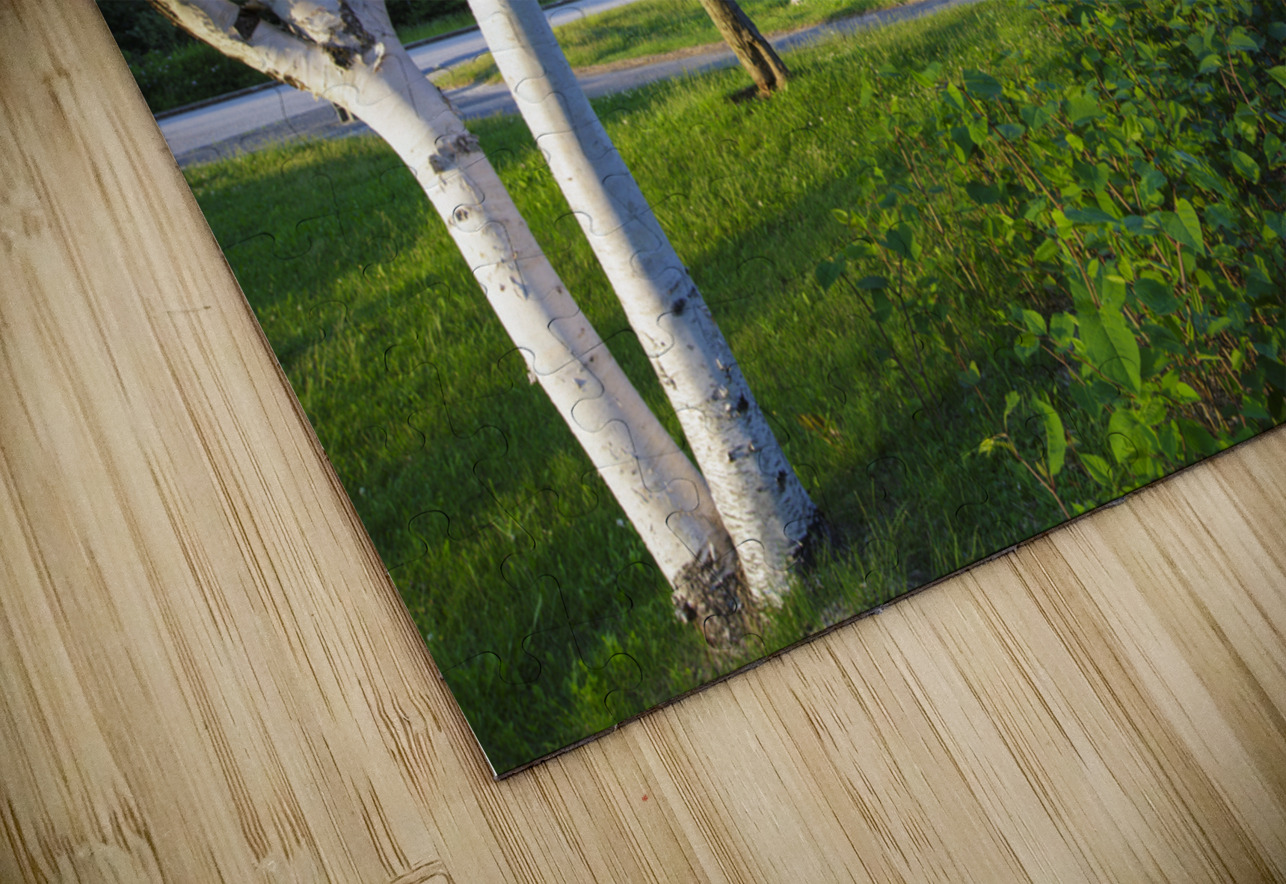 Eagle Cliff - Franconia Notch State Park New Hampshire ScenicNH Photography Puzzle