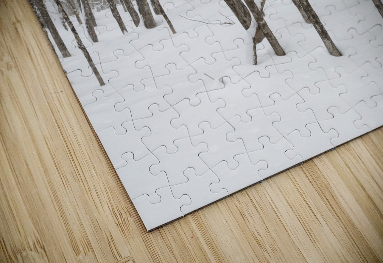 White Mountains New Hampshire - Hardwood forest ScenicNH Photography Puzzle