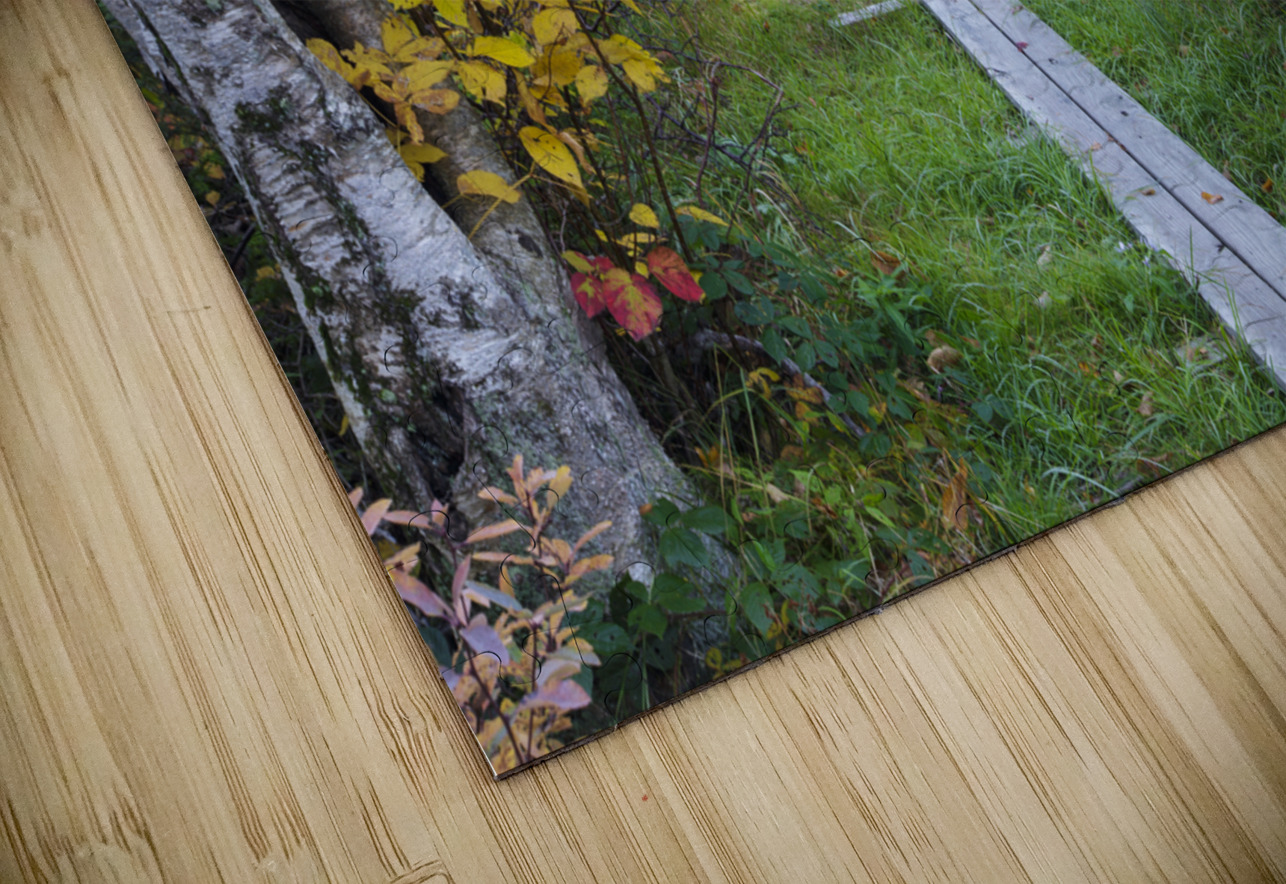 Echo Lake - Franconia Notch New Hampshire ScenicNH Photography Puzzle