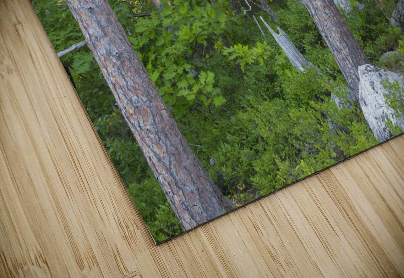 South Moat Mountain - Albany New Hampshire ScenicNH Photography Puzzle