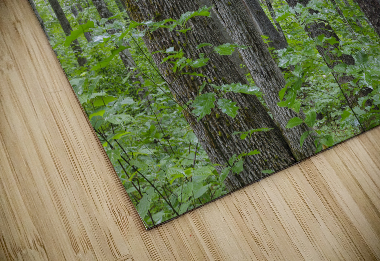 Osseo Trail - White Mountains New Hampshire ScenicNH Photography Puzzle