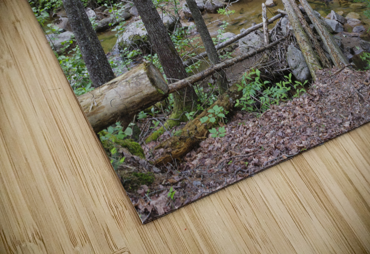Nancy Pond Trail - Pemigewasset Wilderness New Hampshire  ScenicNH Photography Puzzle