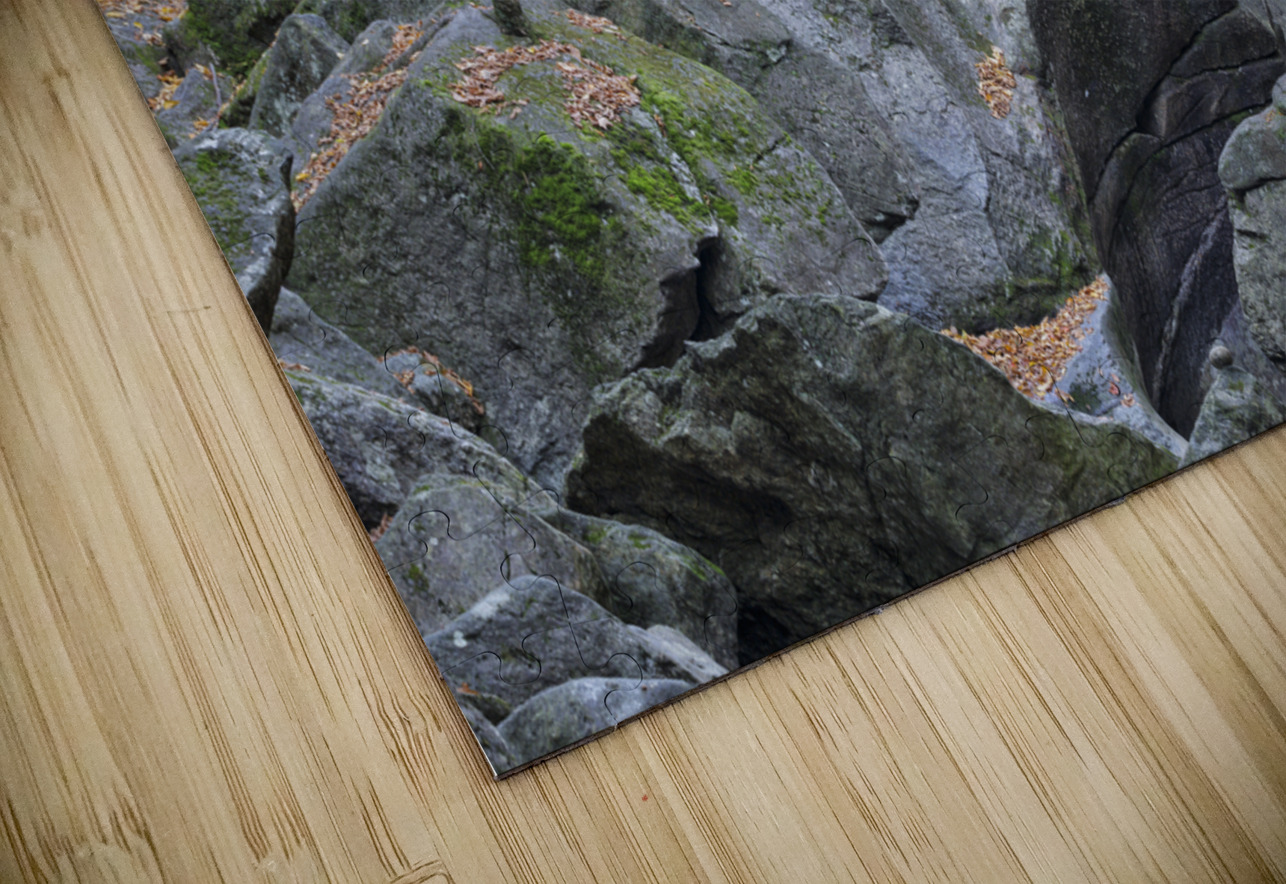Sculptured Rocks Natural Area - Groton New Hampshire ScenicNH Photography Puzzle