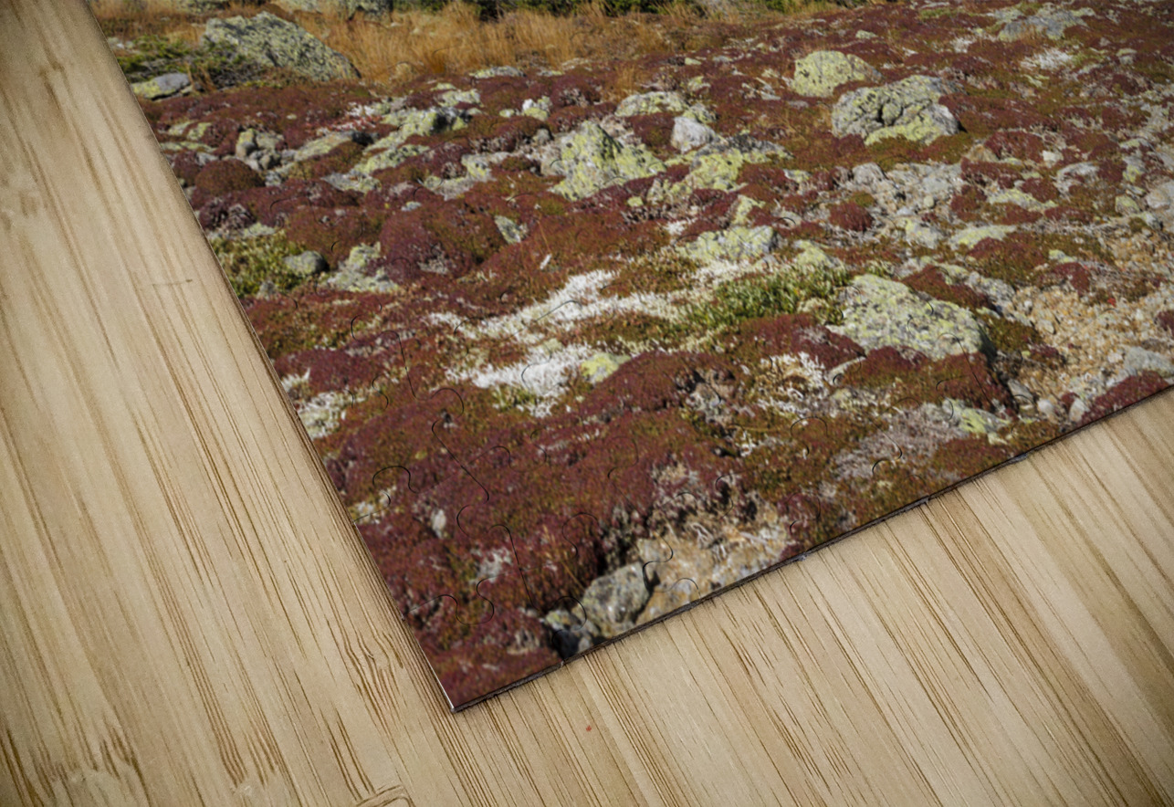 Crawford Path - Mt Washington New Hampshire ScenicNH Photography Puzzle