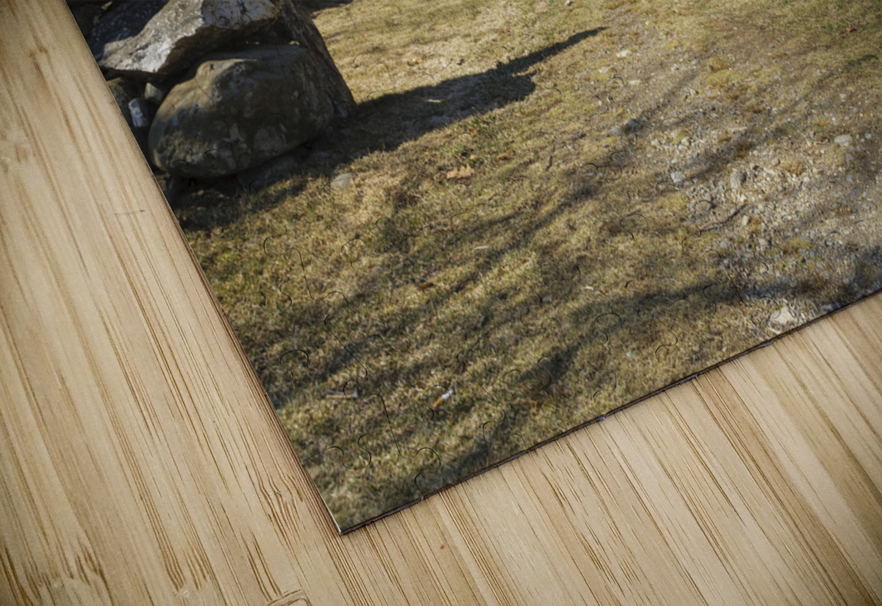 Odiorne Point State Park - Rye New Hampshire ScenicNH Photography Puzzle