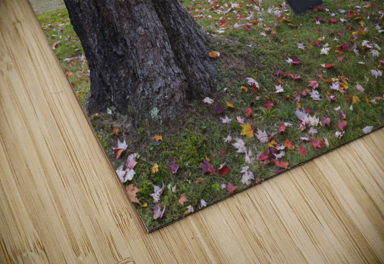Kinsman Cemetery - Easton New Hampshire USA ScenicNH Photography Puzzle