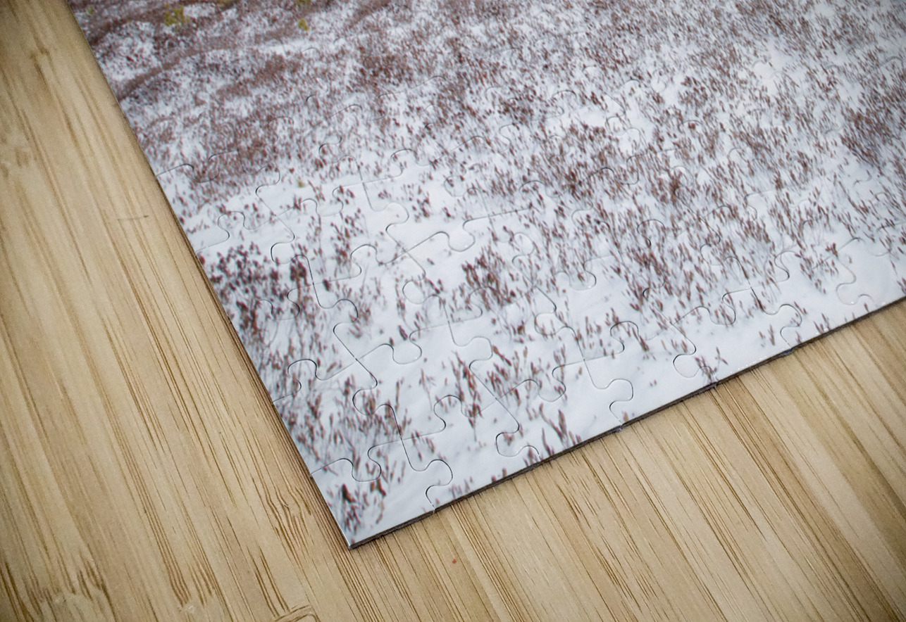 Church Pond - White Mountain National Forest  ScenicNH Photography Puzzle