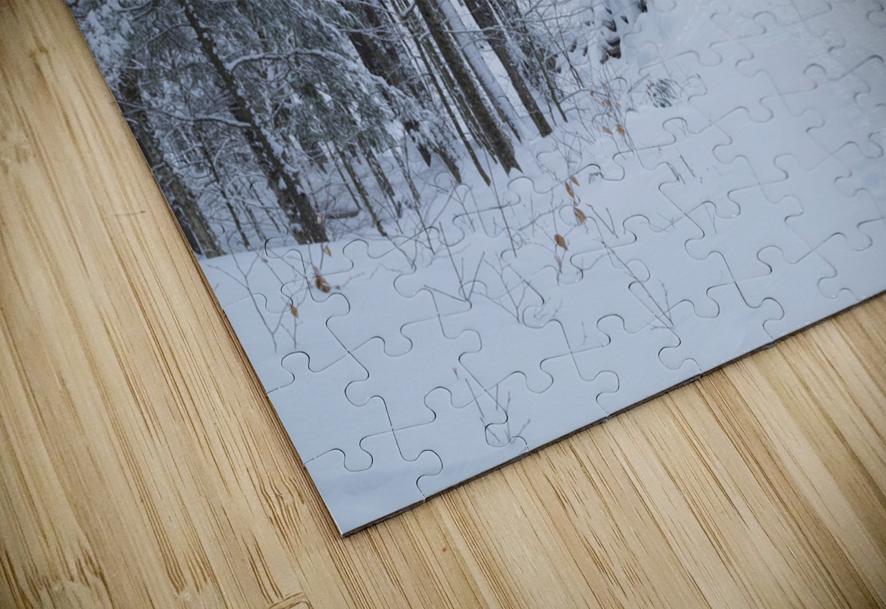 Franconia Notch - White Mountains New Hampshire ScenicNH Photography Puzzle