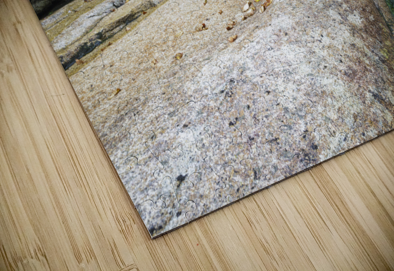 Mt Field Brook Cascades - Bethlehem New Hampshire ScenicNH Photography Puzzle