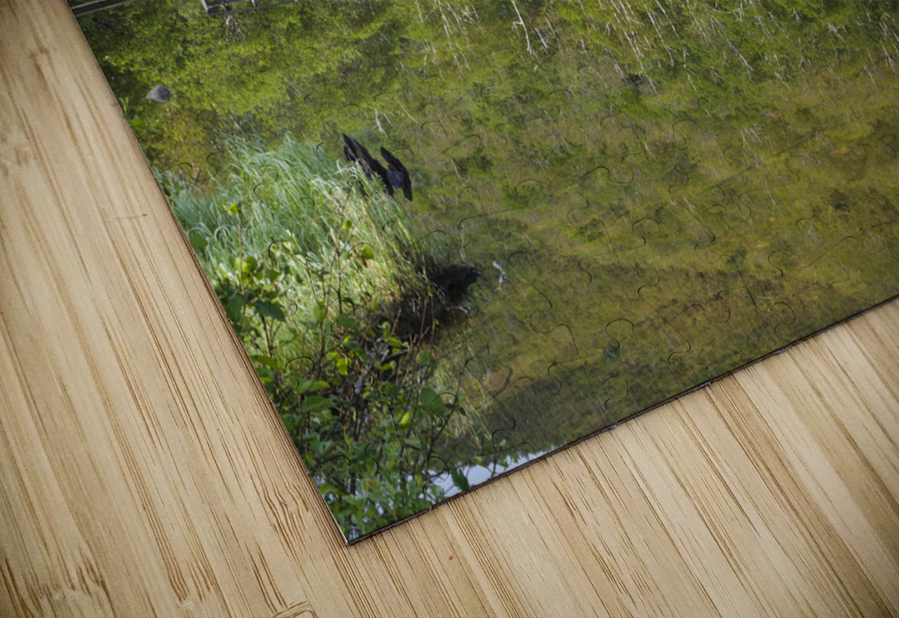 Willey House Historical Site - Crawford Notch New Hampshire ScenicNH Photography Puzzle