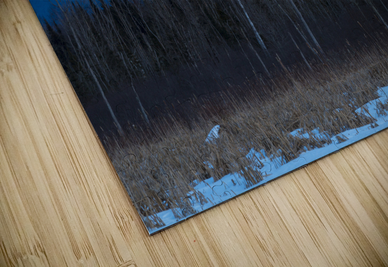 Pondicherry Wildlife Refuge - Jefferson New Hampshire ScenicNH Photography Puzzle